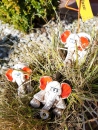 Elefant-Miniaturen in rot, ca. 6-8 cm. -
